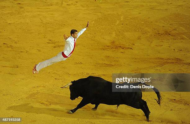 Fabien Napias of the French Recortadores company Passion Saltador leaps over a charging bull at the end of the Liga de Corte Puro finals at the Plaza...