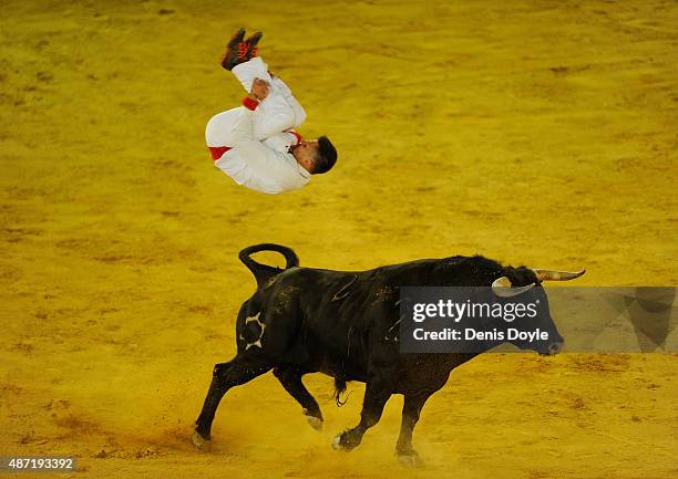Guillaume Vergonzeanne of the French Recortadores company Passion Saltador somersaults over a charging bull at the end of the Liga de Corte Puro...