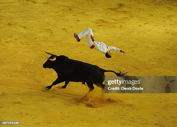 Nicolas Vergonzeanne of the French Recortadores company Passion Saltador somersaults over a charging bull at the end of the Liga de Corte Puro finals...