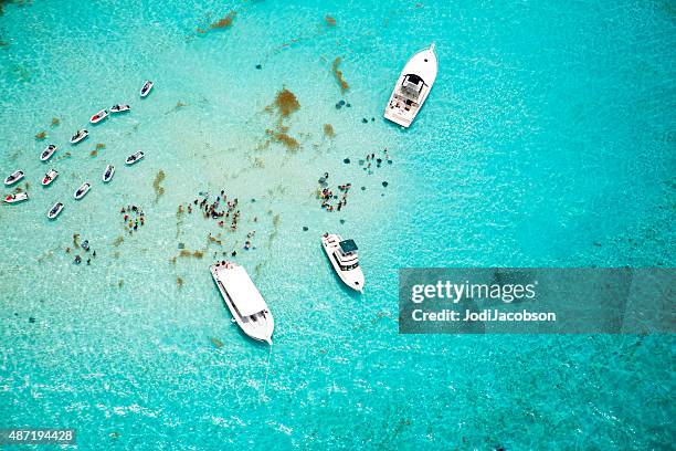 aerial view of stingrays at stingray city on grand cayman - spit stock pictures, royalty-free photos & images