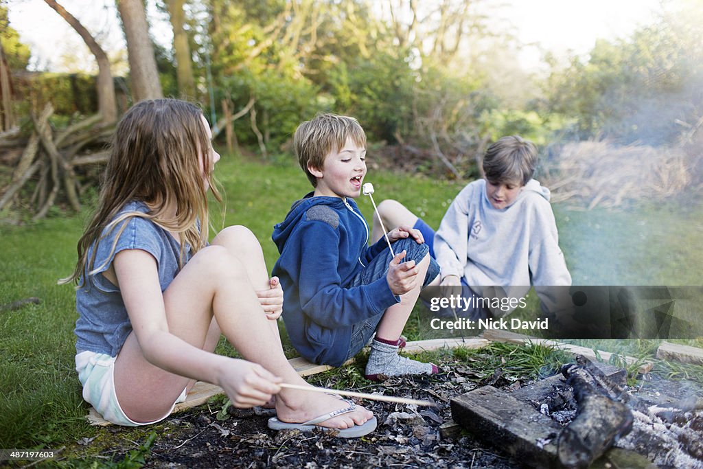 Children toasting marshmallows