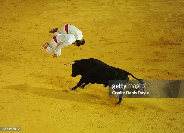 Fabien Napias and Guillaume Vergonzeanne of the French Recortadores company Passion Saltador somersault over a charging bull at the end of the Liga...