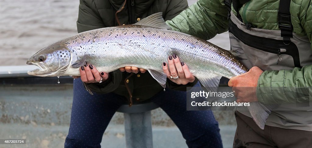 Atlantic Salmon Caught by Lady Angler