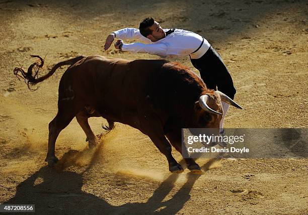 Dani Alonso performs during the Liga de Corte Puro finals at the Plaza de Toros on September 6, 2015 in Valladolid, Spain. Corte Puro involves the...