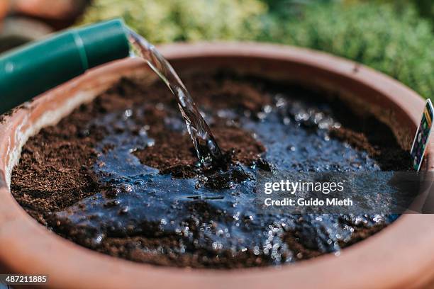 pouring water after planting. - watering pot stock pictures, royalty-free photos & images