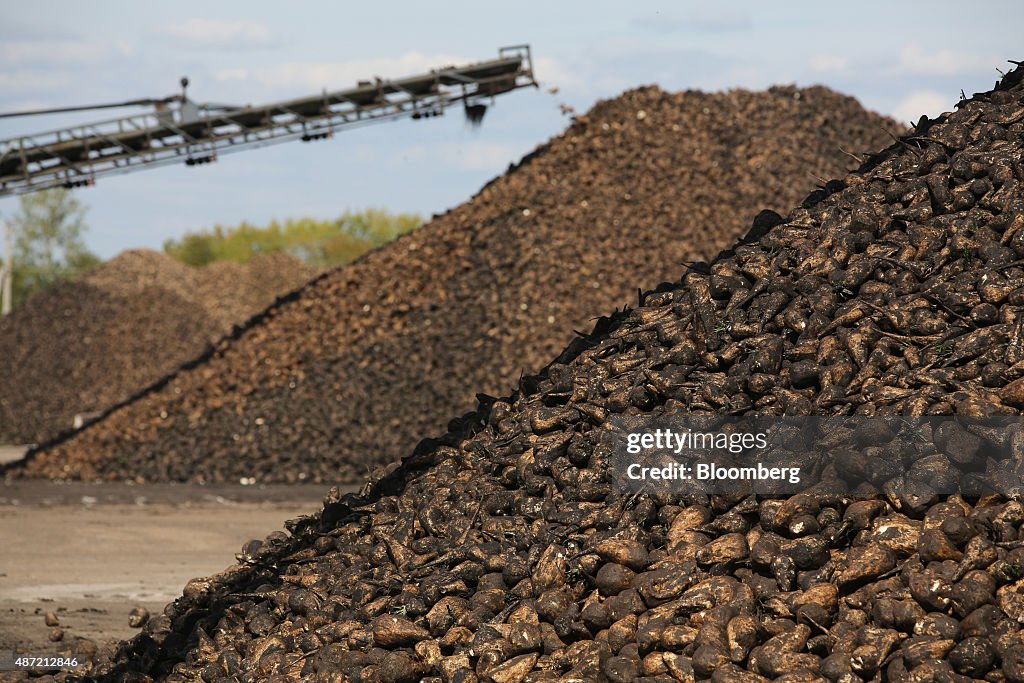 Russian Sugar Manufacture