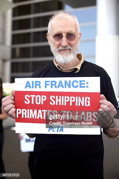 Actor James Cromwell leads PETA protest against Air France's cruelty to monkeys at Los Angeles International Airport on April 28, 2014 in Los...