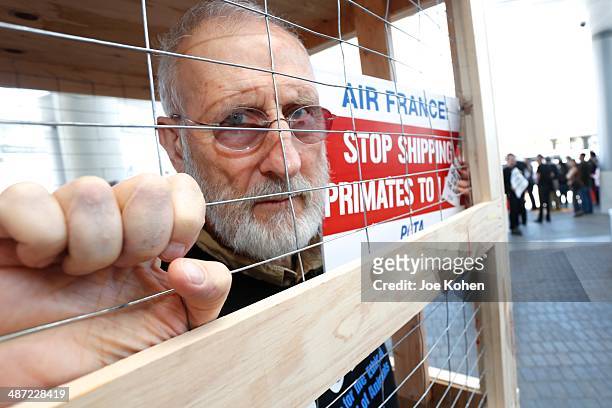 Actor James Cromwell Leads PETA Protest Against Air France's Cruelty To Monkeys at Los Angeles International Airport on April 28, 2014 in Los...
