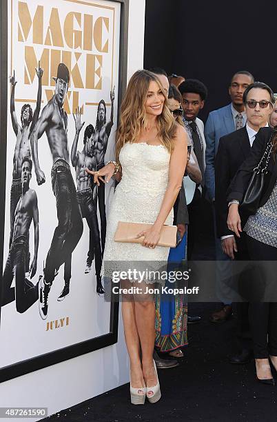 Actress Sofia Vergara arrives at the Los Angeles Premiere "Magic Mike XXL" at TCL Chinese Theatre IMAX on June 25, 2015 in Hollywood, California.