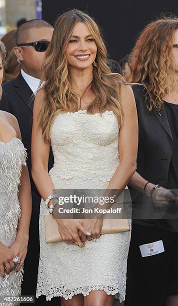 Actress Sofia Vergara arrives at the Los Angeles Premiere "Magic Mike XXL" at TCL Chinese Theatre IMAX on June 25, 2015 in Hollywood, California.