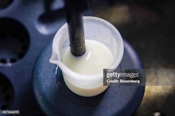 Milk Testing Lab 476 Milk Laboratory Stock Photos, High-Res Pictures, and Images - Getty ...