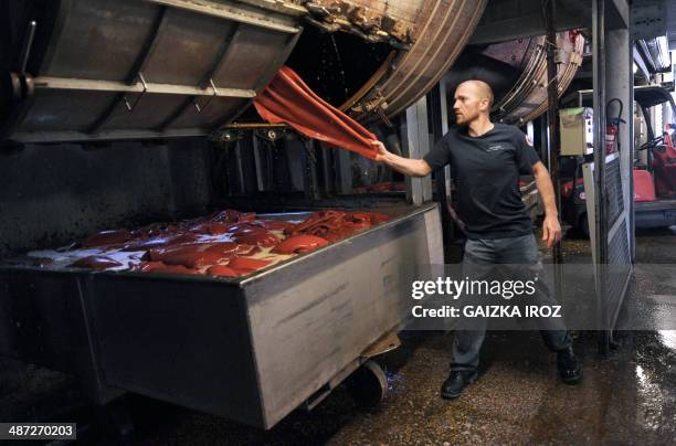 An employee manipulates skins to produce leather in the Remy Carriat tannery in Espelette, southwestern France, on April 10, 2014. Since 1927, the...