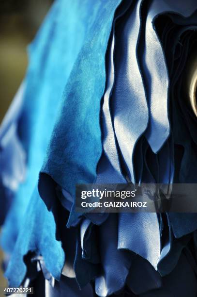 Picture taken on April 10, 2014 shows blue skins drying in the Remy Carriat tannery in Espelette, southwestern France, on April 10, 2014. Since 1927,...