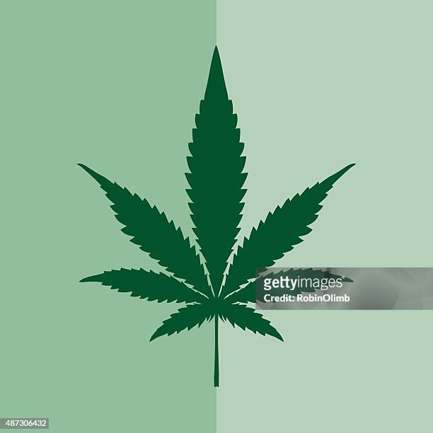 marijuana square icon - marijuana herbal cannabis stock illustrations