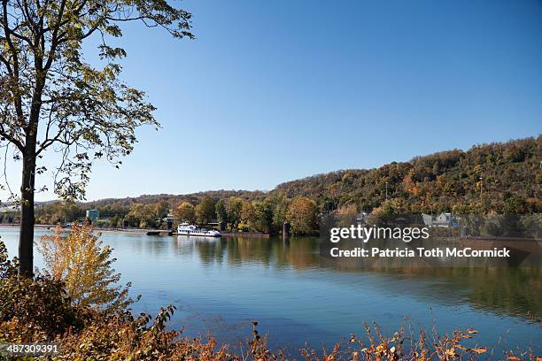 autumn river scene - river monongahela stock pictures, royalty-free photos & images