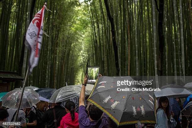 Member of a Chinese tour group tries to take a photograph with his ipad at the famous Sagano Bamboo Forest on September 6, 2015 in Kyoto, Japan. The...