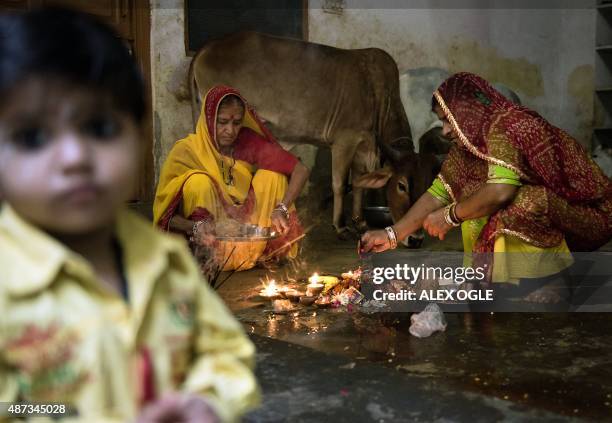 An Indian boy looks on as women prepare to bless a cow during a Hindu Bach Baras ritual in the Rajasthan city of Udaipur on September 9, 2015. The...