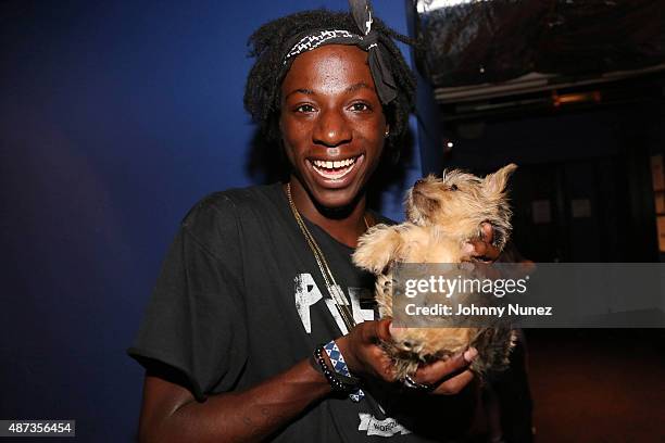 Recording artist Joey Bada$$ backstage at the Island Records Island Life Concert at Best Buy Theater on September 8 in New York City.