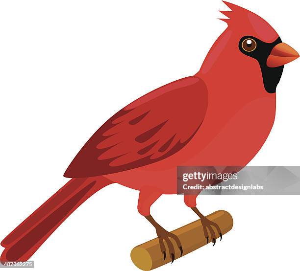 cardinal - cardinal bird 幅插畫檔、美工圖案、卡通及圖標