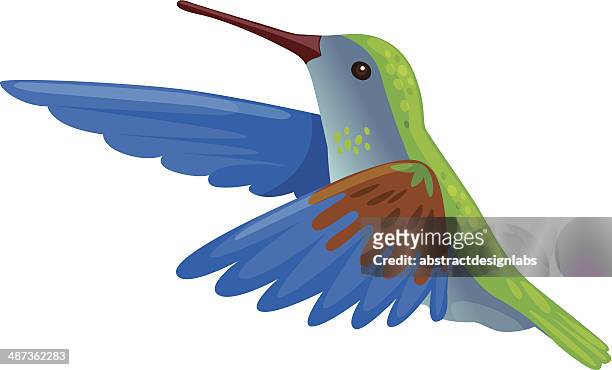 94 Hummingbird Cartoon Images High Res Illustrations - Getty Images