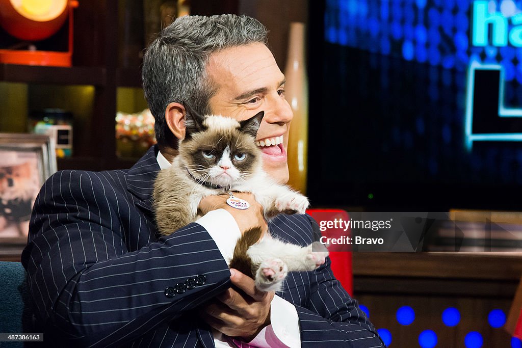 Andy Grumpy Andy Cohen and Grumpy Cat -- News Photo - Getty Images