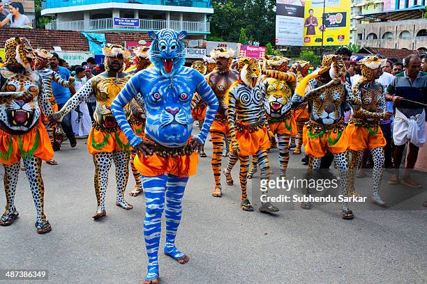 Men dressed as tigers dance on the road of Thrissur. Puli Kali is a colorful recreational folk art performed in Kerala in India. It is performed by...