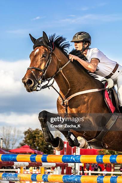 show jumping - horse with rider jumping over hurdle - hindernisrace paardenrennen stockfoto's en -beelden