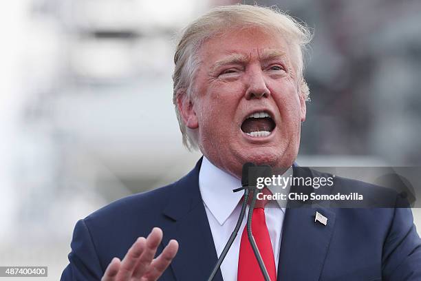 Republican presidential candidate Donald Trump addresses a rally against the Iran nuclear deal on the West Lawn of the U.S. Capitol September 9, 2015...