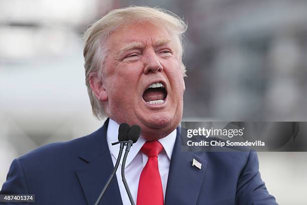 Republican presidential candidate Donald Trump addresses a rally against the Iran nuclear deal on the West Lawn of the U.S. Capitol September 9, 2015...