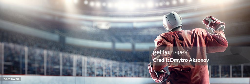 Happy ice hockey player