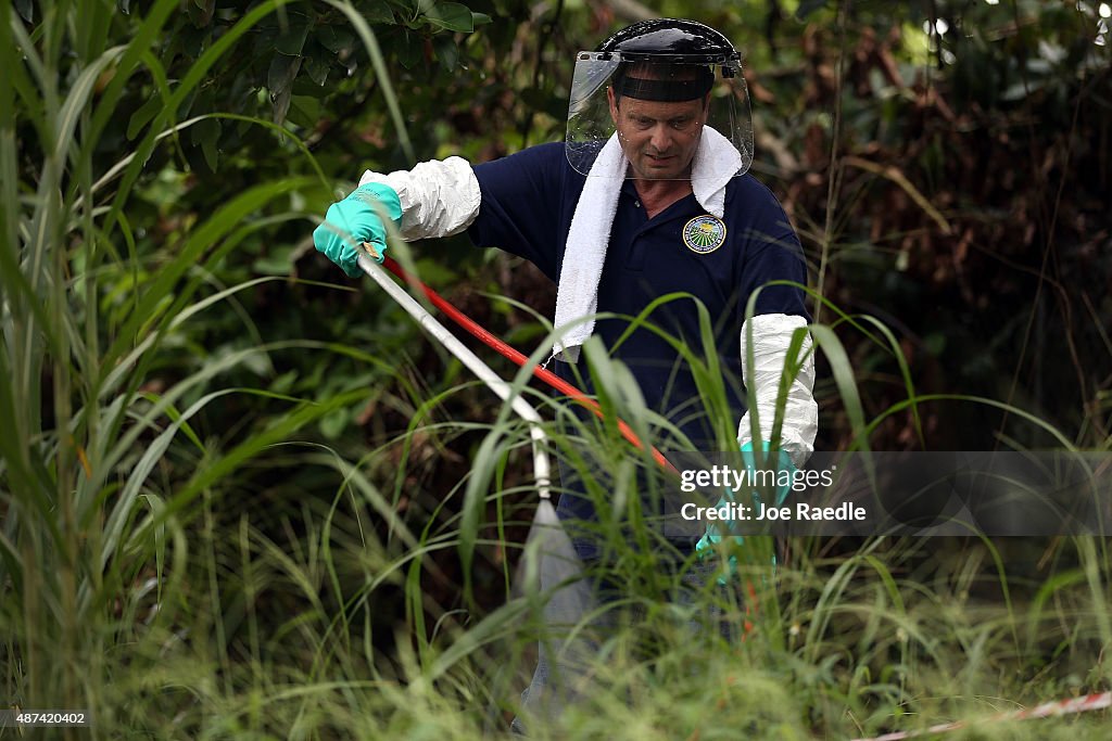 Oriental Fruit Fly Outbreak Threatens Southern Florida Produce Growers