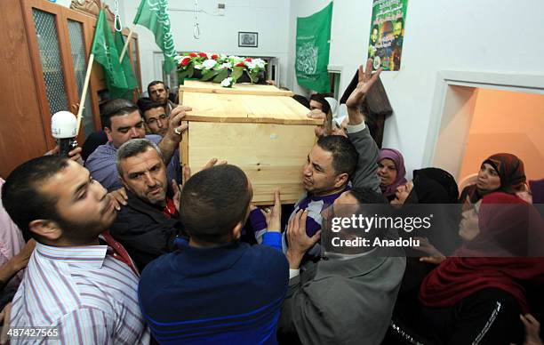 Awadallah 105 Adel Imad Awadallah Stock Photos, High-Res Pictures, and Images ...