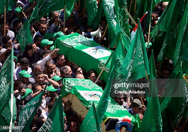 Awadallah 81 Adel Awadallah Stock Photos, High-Res Pictures, and Images - Getty ...