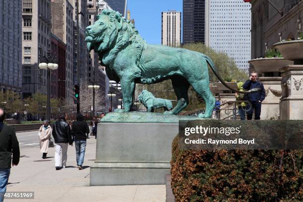 The "Art Institute Lions" sits outside the Art Institute of Chicago on April 26, 2014 in Chicago, Illinois.