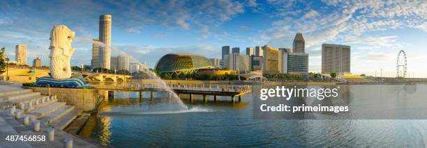 merlion statue at marina bay in singapore - marina bay singapore bildbanksfoton och bilder