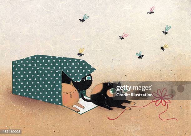cats surprise gift - acrylic box stock illustrations
