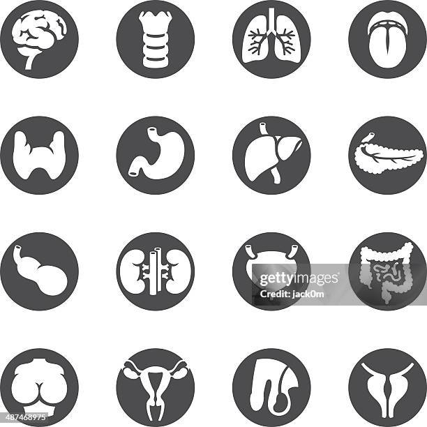 ilustrações, clipart, desenhos animados e ícones de corpo humano-órgão círculo ícones tipos de cancro da - pâncreas órgão interno