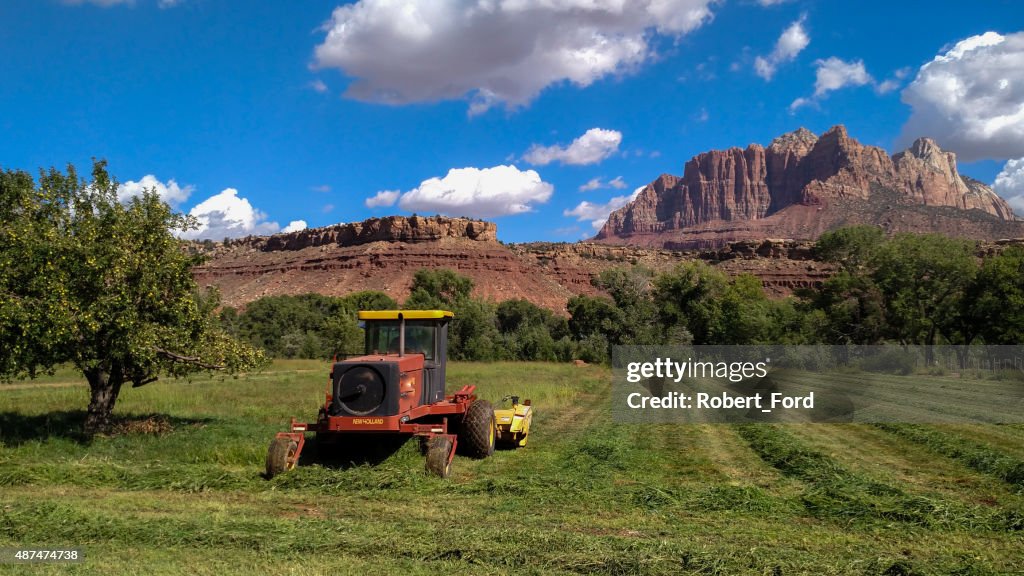 Cutting hay Mount Kinesava Zion National Park Rockville Utah