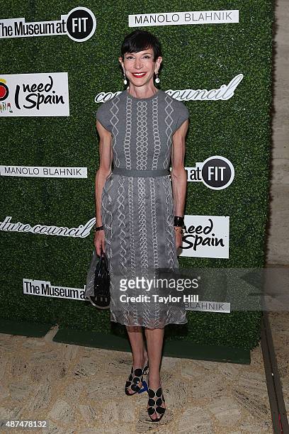 Amy Fine Collins attends the 2015 Couture Council Awards Benefit Luncheon honoring Manolo Blahnik at David Koch Theatre at Lincoln Center on...