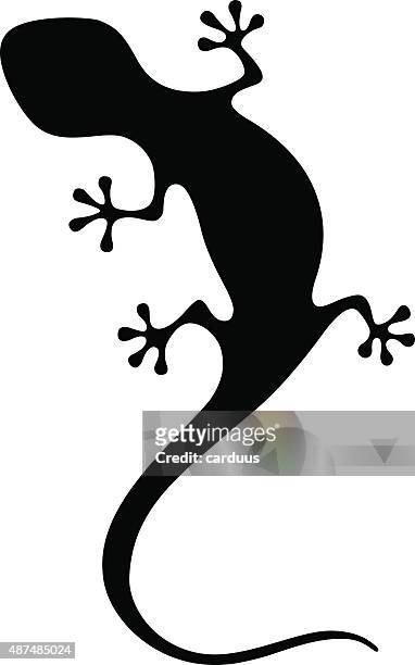 ilustraciones, imágenes clip art, dibujos animados e iconos de stock de lagarto - salamandra