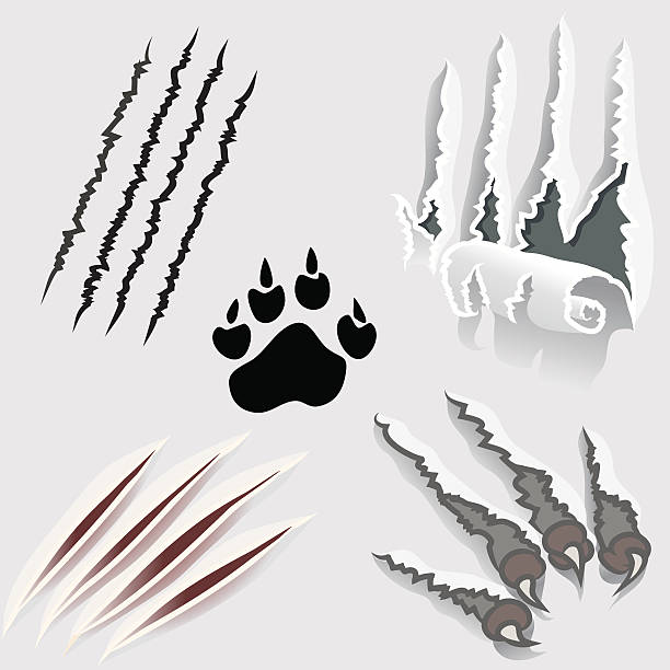 scratched surfaces - scratched steel stock illustrations