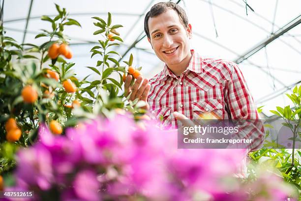 Florists Proprietrio Verificar A Sua Instalao, Foto de stock