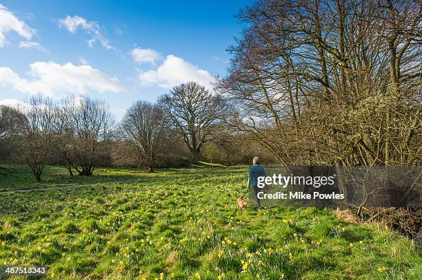 Yorkshire Spring 7,630 Yorkshire Spring Stock Photos, High-Res Pictures, and Images ...