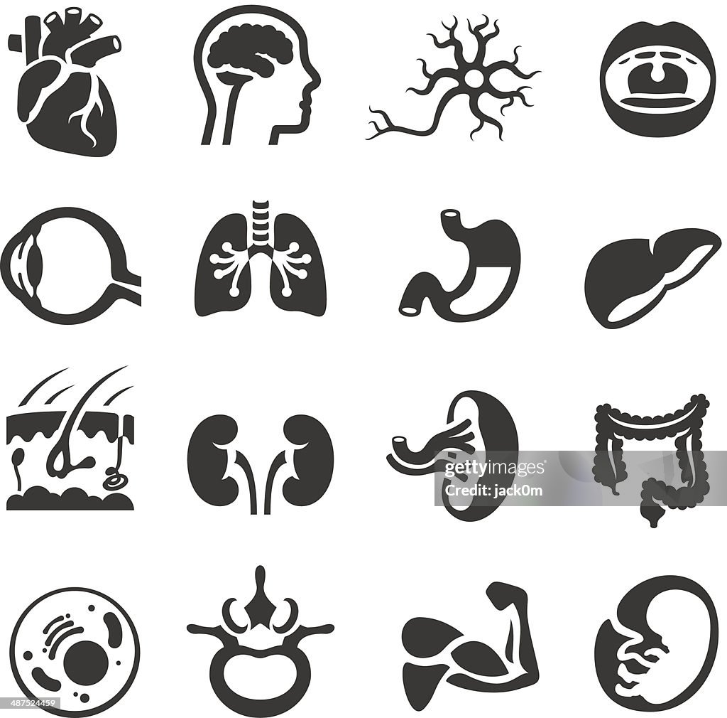 Human Body Icons
