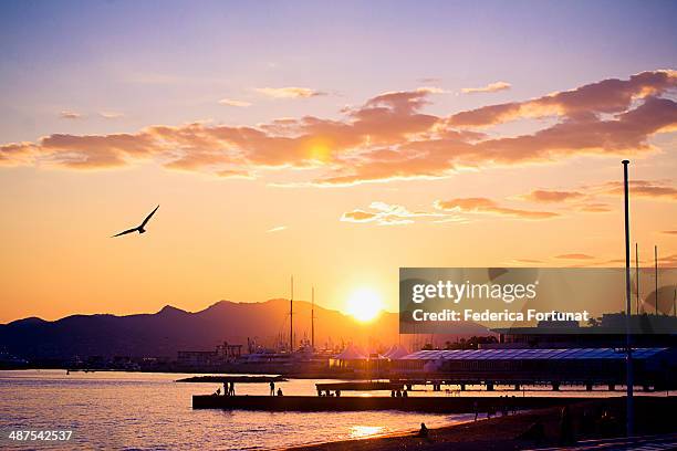 view of the croisette beach in cannes at sunset - nature one festival 2013 stockfoto's en -beelden