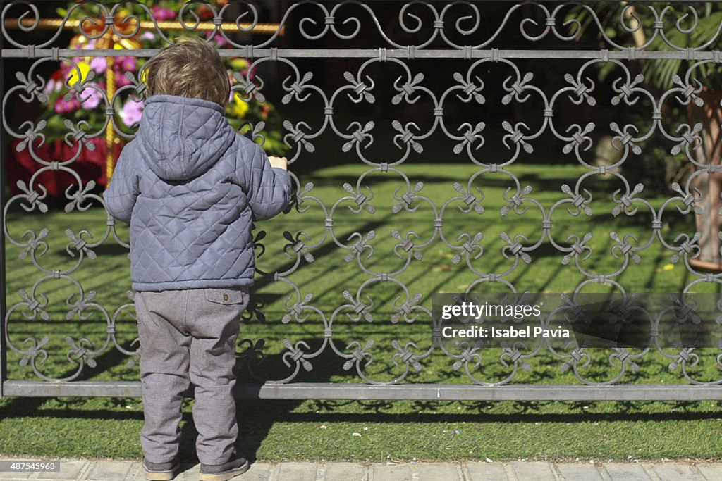 Boy looking through a fence