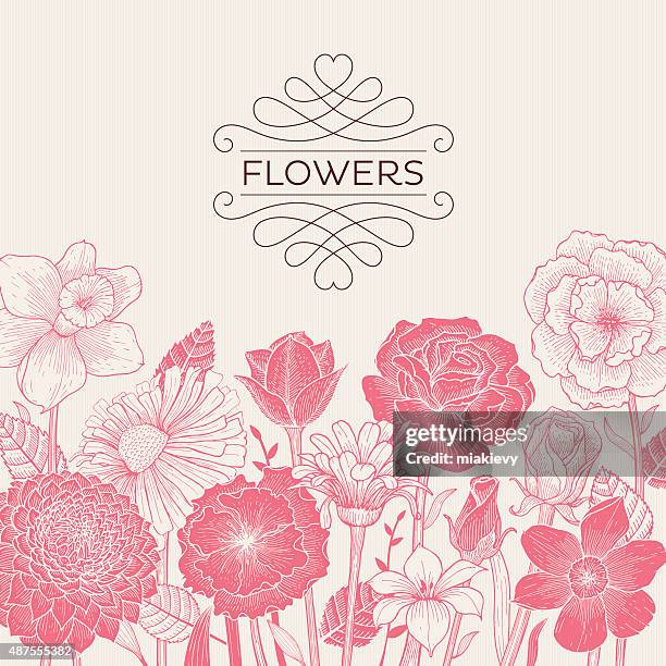 pink blooming flowers - peony stock illustrations