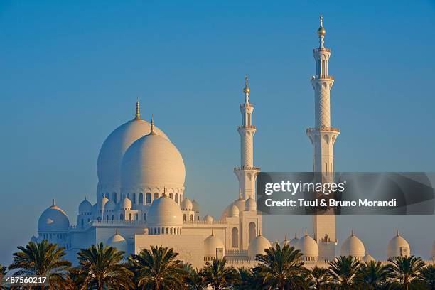 abu dhabi, sheikh zayed grand mosque - abu dhabi stockfoto's en -beelden