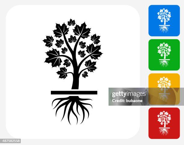 growing maple tree - sapling stock illustrations