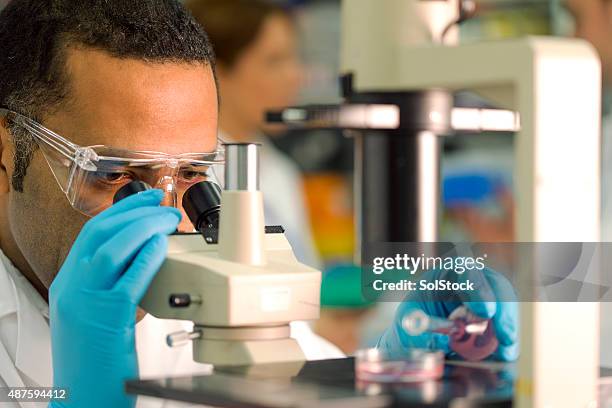 under the microscope - case studies stock pictures, royalty-free photos & images